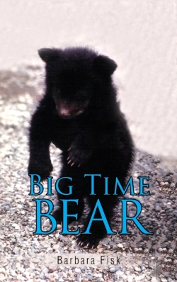 Bertrand.pt - Big Time Bear