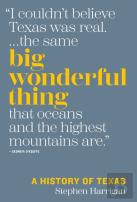 Big Wonderful Thing