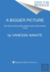 Bigger Picture