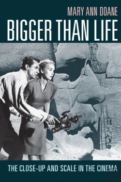 Bertrand.pt - Bigger Than Life