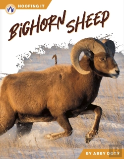 Bertrand.pt - Bighorn Sheep