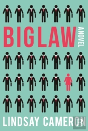 Biglaw A Novel