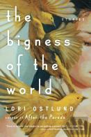 Bigness Of The World
