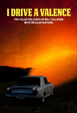 Bertrand.pt - Bill Callahan: I Drive A Valence