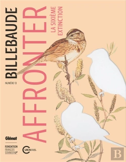 Bertrand.pt - Billebaude