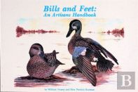 Bills And Feet