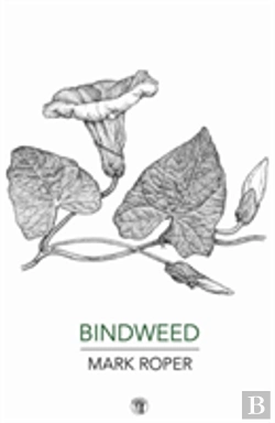 Bertrand.pt - Bindweed