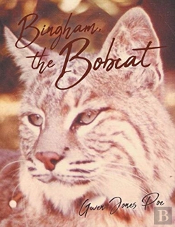 Bertrand.pt - Bingham The Bobcat