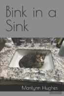 Bink In A Sink