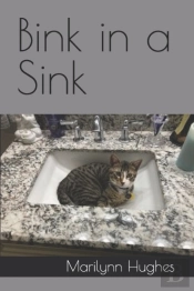 Bink In A Sink