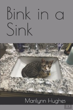 Bertrand.pt - Bink In A Sink