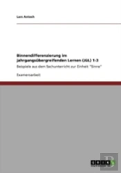 Binnendifferenzierung Im Jahrgangsabergreifenden Lernen (Jal) 1-3