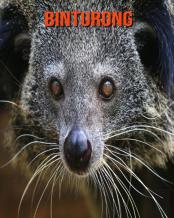 Binturong