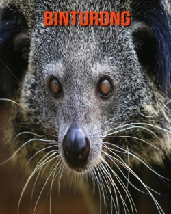 Bertrand.pt - Binturong