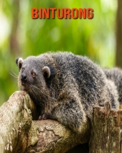 Binturong