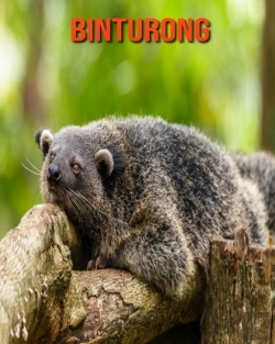 Bertrand.pt - Binturong