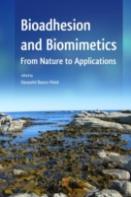 Bioadhesion And Biomimetics