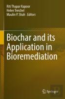 Biochar And Its Application In Bioremediation