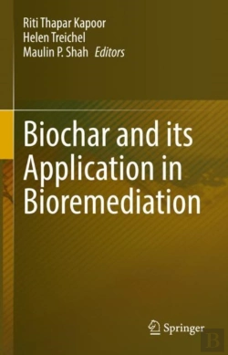 Bertrand.pt - Biochar And Its Application In Bioremediation