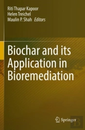 Biochar And Its Application In Bioremediation