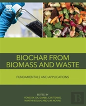 Biochar From Biomass And Waste