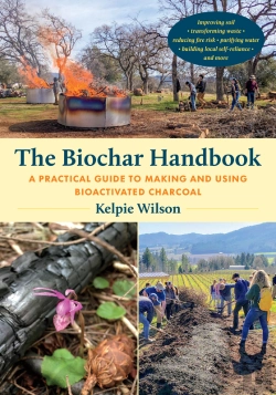 Bertrand.pt - Biochar Handbook