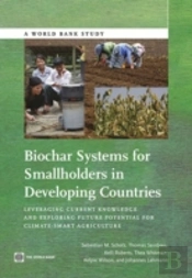 Biochar Systems For Smallholders In Developing Countries
