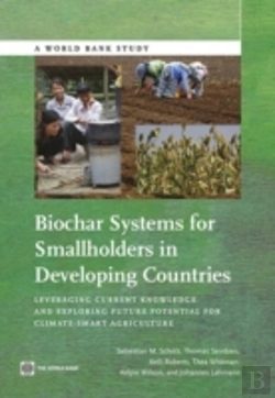 Bertrand.pt - Biochar Systems For Smallholders In Developing Countries