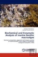 Biochemical And Enzymatic Analysis Of Marine Benthic Macroalgae