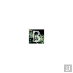 Bertrand.pt - Biodiversitat Invisible