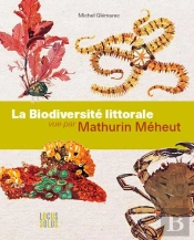 Biodiversite Littorale Vue Par Mathurin Meheut