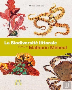 Bertrand.pt - Biodiversite Littorale Vue Par Mathurin Meheut