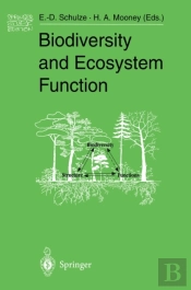 Biodiversity And Ecosystem Function