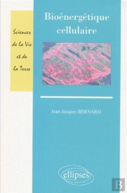 Bertrand.pt - Bioénergétique Cellulaire