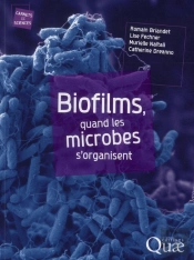 Biofilms - Les Microbes S'Organisent