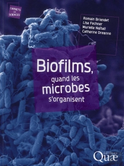 Bertrand.pt - Biofilms - Les Microbes S'Organisent