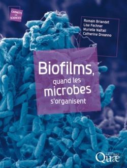 Bertrand.pt - Biofilms, Quand Les Microbes S'Organisent