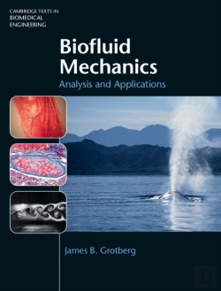 Bertrand.pt - Biofluid Mechanics