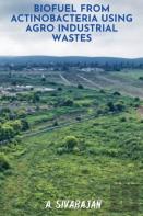 Biofuel From Antinobacteria Using Agro Industrial Wastes