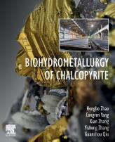 Biohydrometallurgy Of Chalcopyrite