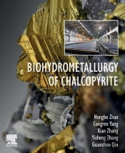 Biohydrometallurgy Of Chalcopyrite