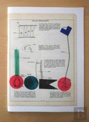 Biologica Grafica