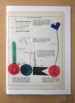 Bertrand.pt - Biologica Grafica