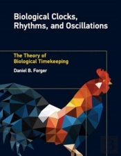 Biological Clocks, Rhythms, And Oscillations