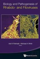Biology And Pathogenesis Of Rhabdo- And Filoviruses
