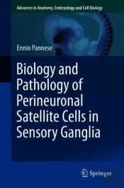 Biology And Pathology Of Perineuronal Satellite Cells In Sensory Ganglia