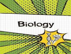 Biology Graph Paper Notebook