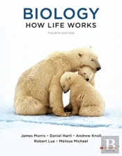 Biology: How Life Works (International Edition)