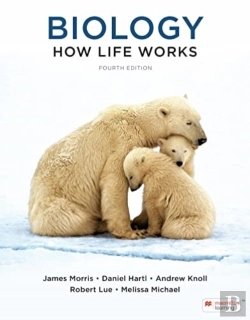 Bertrand.pt - Biology: How Life Works (International Edition)