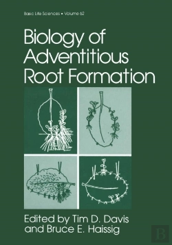 Bertrand.pt - Biology Of Adventitious Root Formation